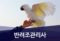 �ݷ���������1��