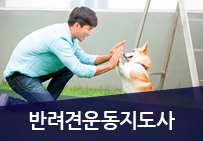 �ݷ��߿������1��